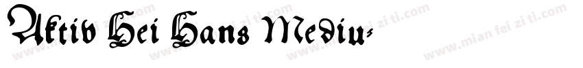 Aktiv Hei Hans Mediu字体转换